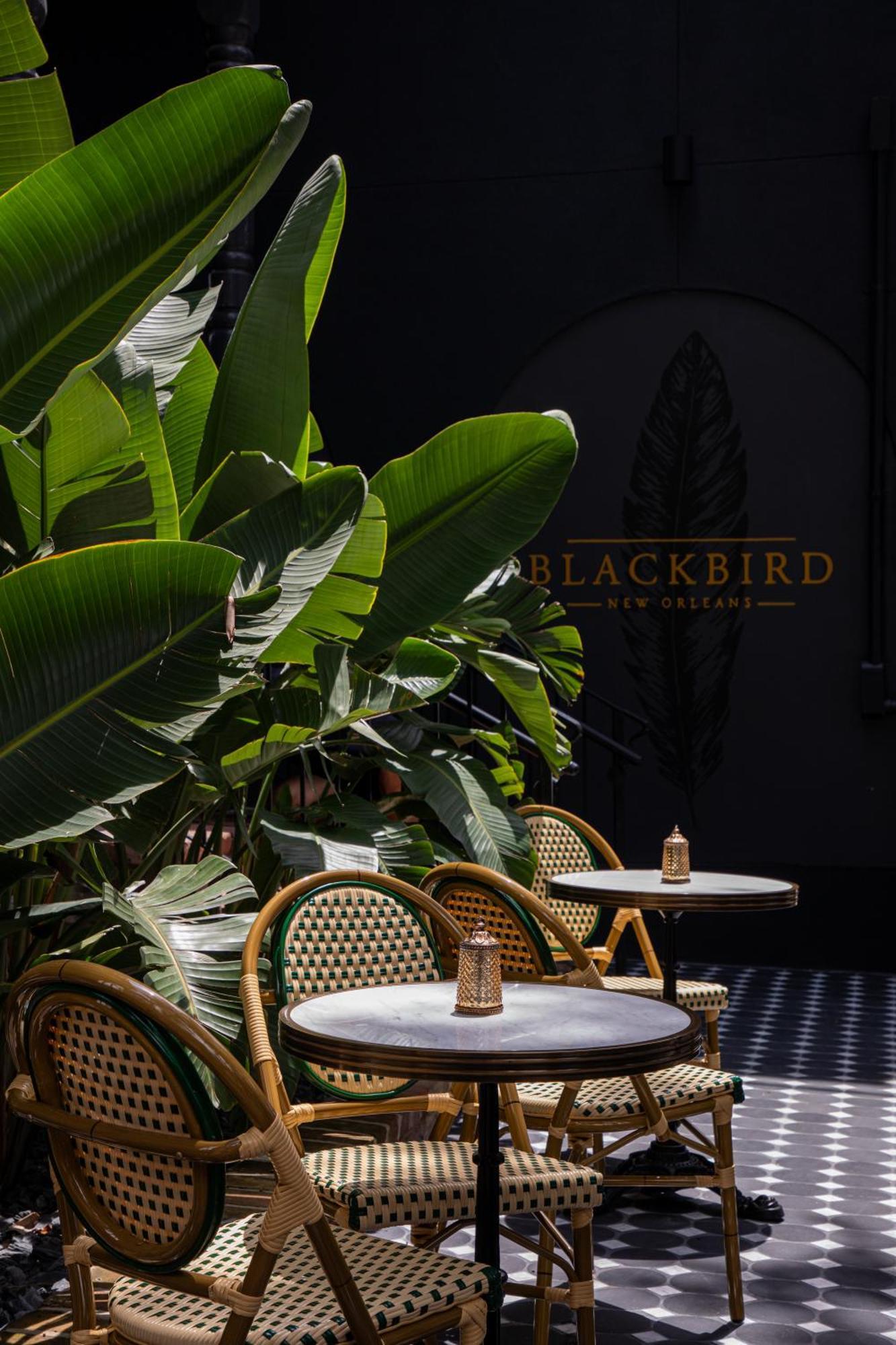 Blackbird Hotel New Orleans Ngoại thất bức ảnh