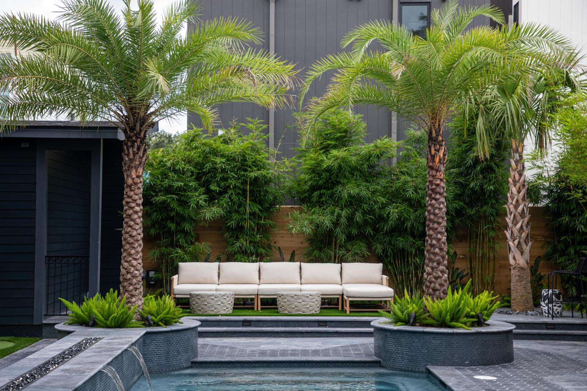Blackbird Hotel New Orleans Ngoại thất bức ảnh