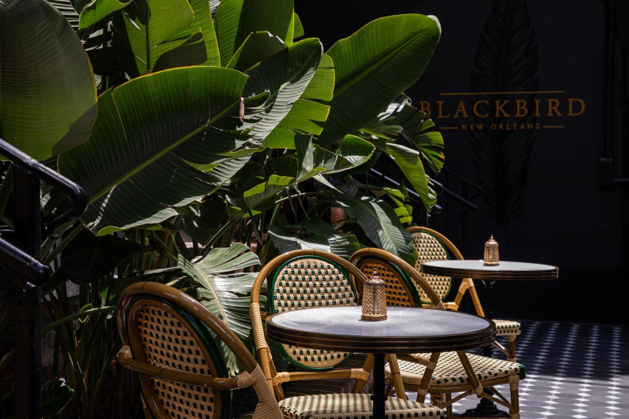 Blackbird Hotel New Orleans Ngoại thất bức ảnh